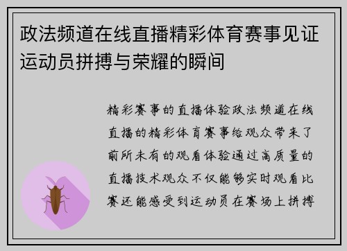 政法频道在线直播精彩体育赛事见证运动员拼搏与荣耀的瞬间